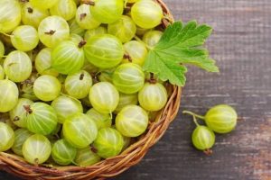 Агрус користь для організму людини
