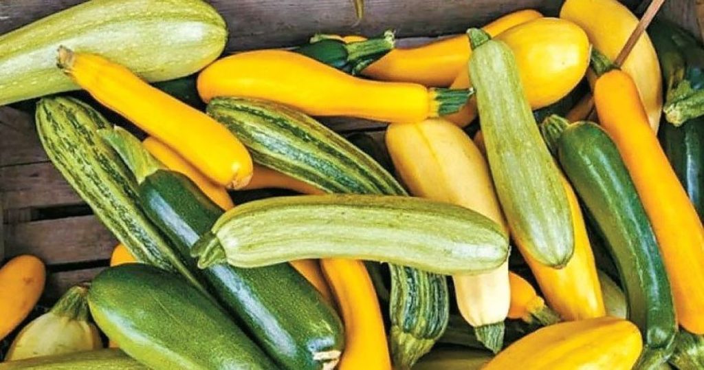 Чим корисні кабачки для здоров’я