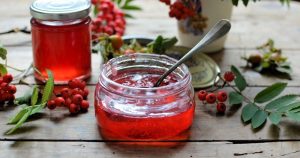 Красная рябина — лечебные свойства