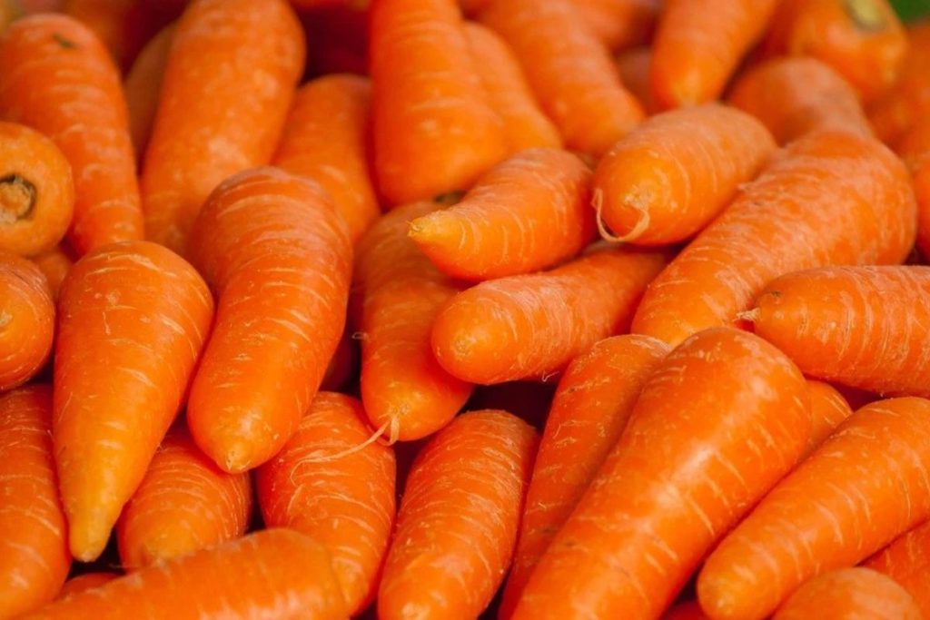 6 продуктів із рекордним вмістом вітаміну А для зору й імунітету