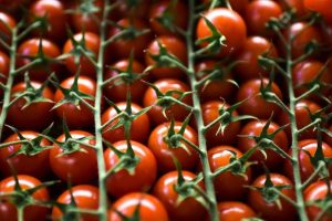Пять продуктов Сардинии, которые едят люди до ста лет